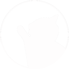 Kitten